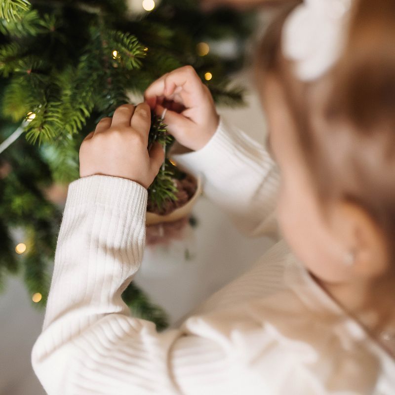 Різдвяна історія вдома