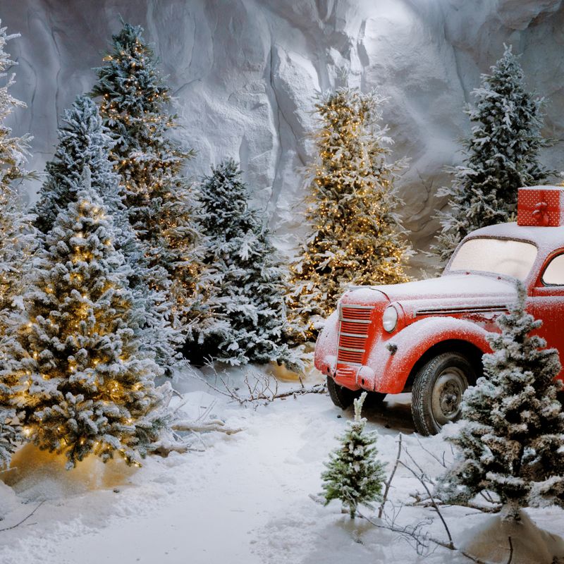 Найкращі інтер'єрні фотостудії Києва для новорічної фотосесії