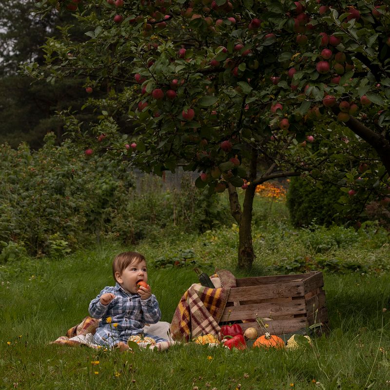 IMG_5580.jpg