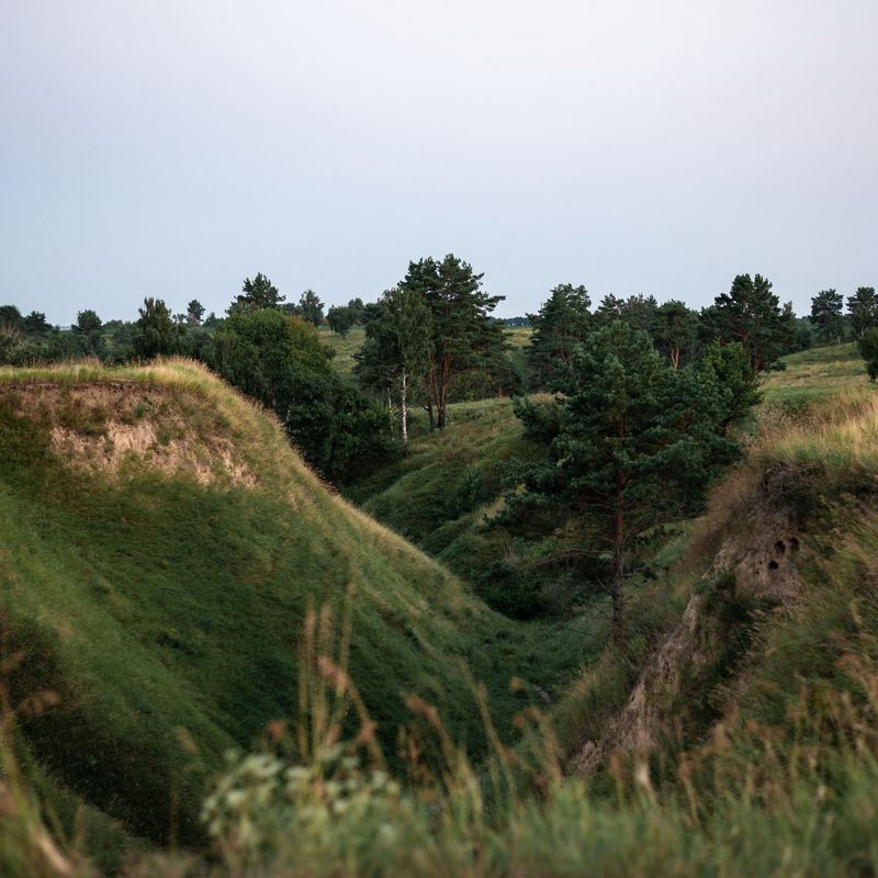 Васильківські Карпати - локація для сімейної фотосесії біля Києва