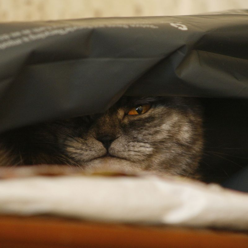 Погляд