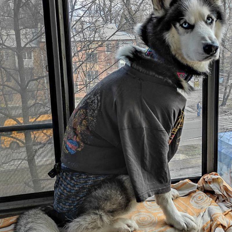 Песо-фото