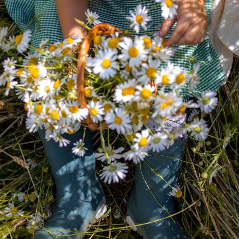 10G4A8907.jpg
