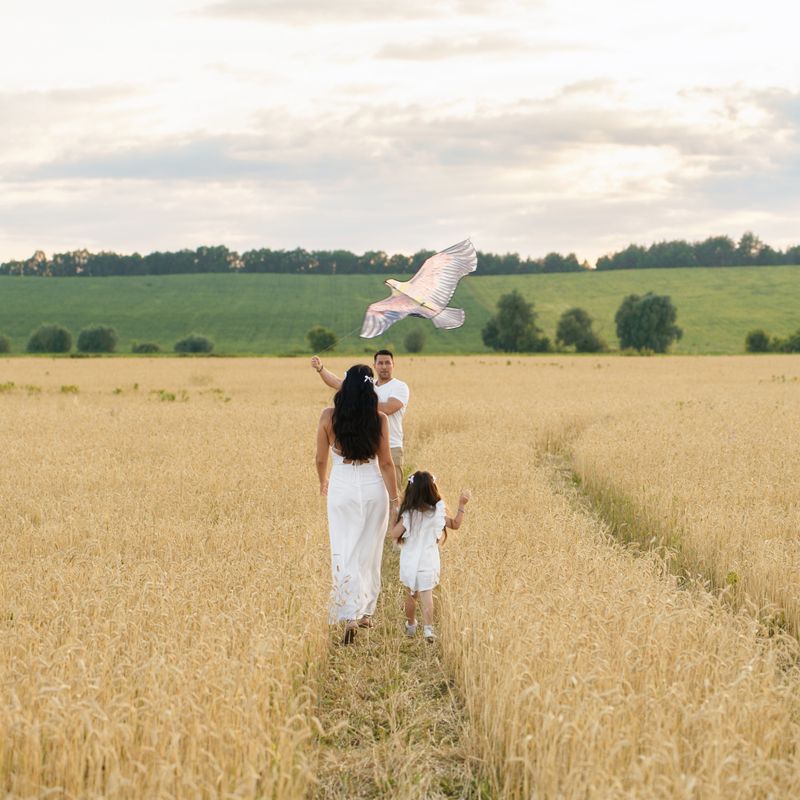 Сімейна фотосесія пшеничне поле