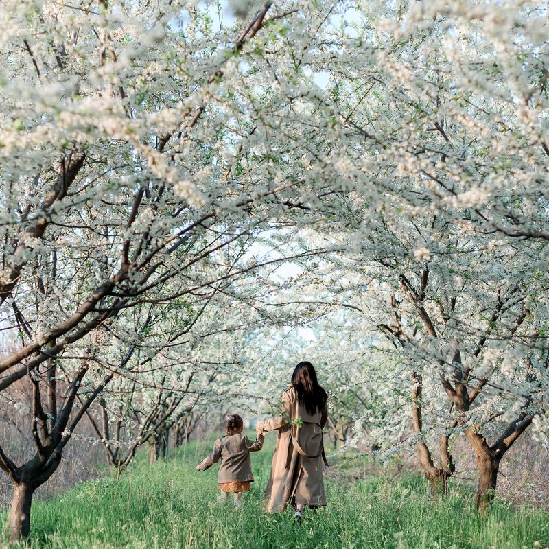 Фотосесія у квітучому саду